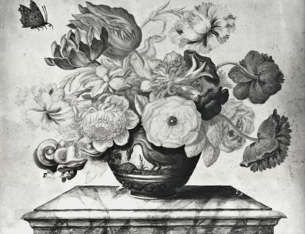 Anonimo — Narvaez Ferdinando - sec. XVIII - Natura morta con vaso di fiori e farfalla — insieme